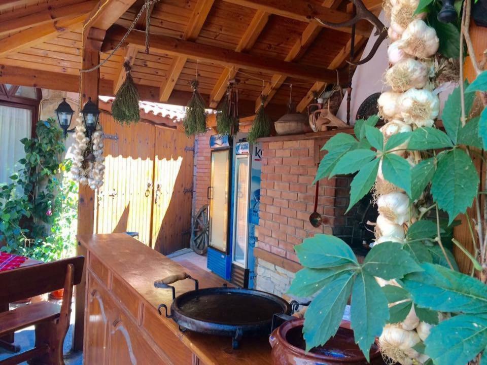 Guest House Gergana Primorsko Exteriér fotografie